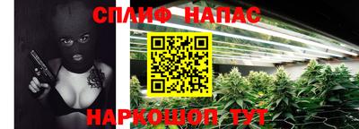 Альфа ПВП Гагарин