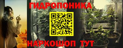 a pvp Гай