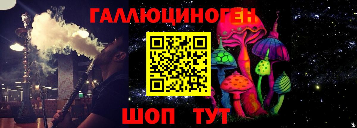 Кызыл  Галлюциногенные грибы прущие грибы  Вход с VPN  Псилоцибиновые грибы прущие грибы 